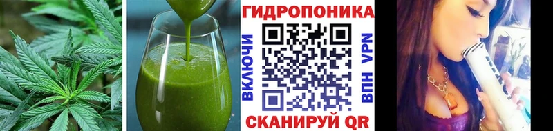 Canna-Cookies марихуана Будённовск