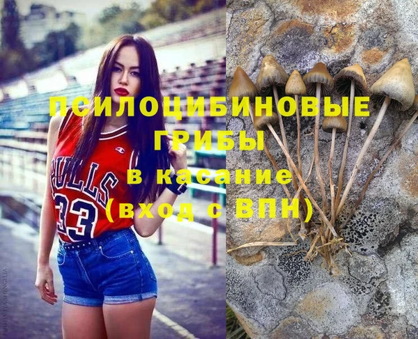 кокаин Белокуриха