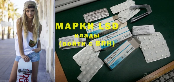 спайс Богданович