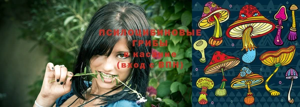 гашик Беломорск