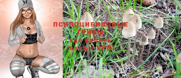 спайс Богданович