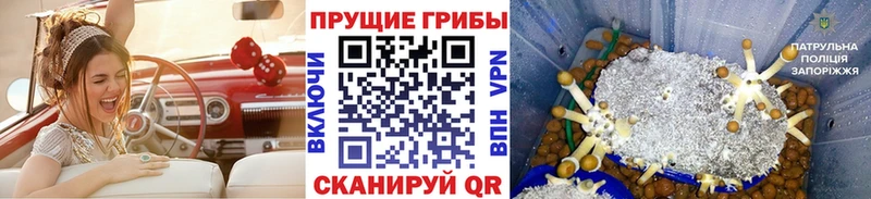 Галлюциногенные грибы мухоморы  kraken сайт  Будённовск 