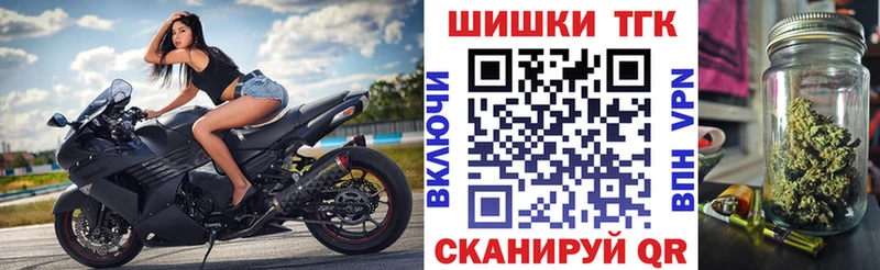 Бошки марихуана планчик  Будённовск 
